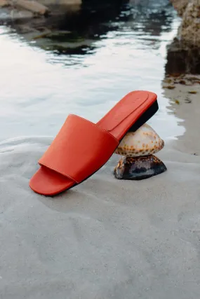 Essential Sliders | Coral